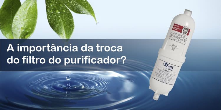 A importância da troca do filtro do purificador?